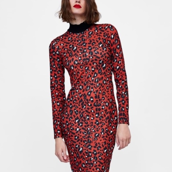 zara red snake print dress